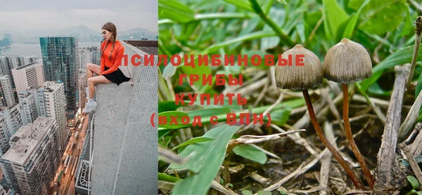 гашик Вязники