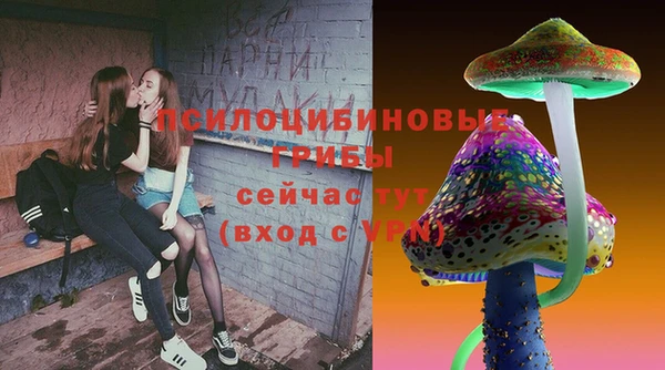 дурь Вязьма