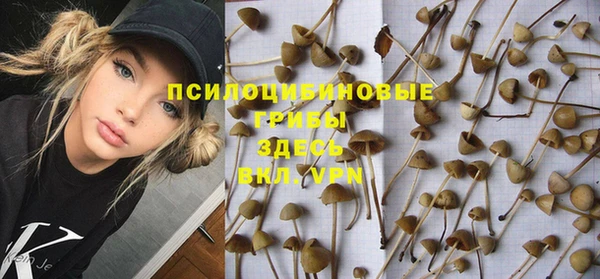 таблы Вяземский