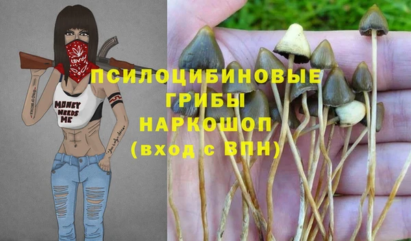 таблы Вяземский