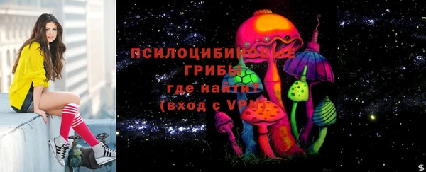 дурь Вязьма