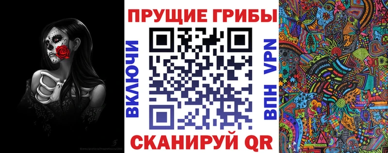 Псилоцибиновые грибы Psilocybine cubensis  Чернушка 